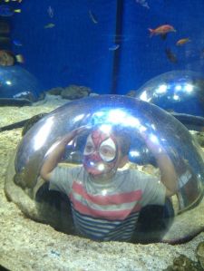 Camden Aquarium 2